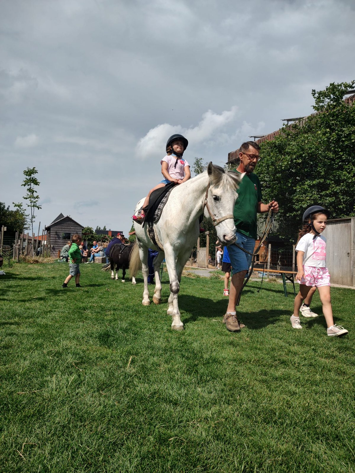 Paarden
