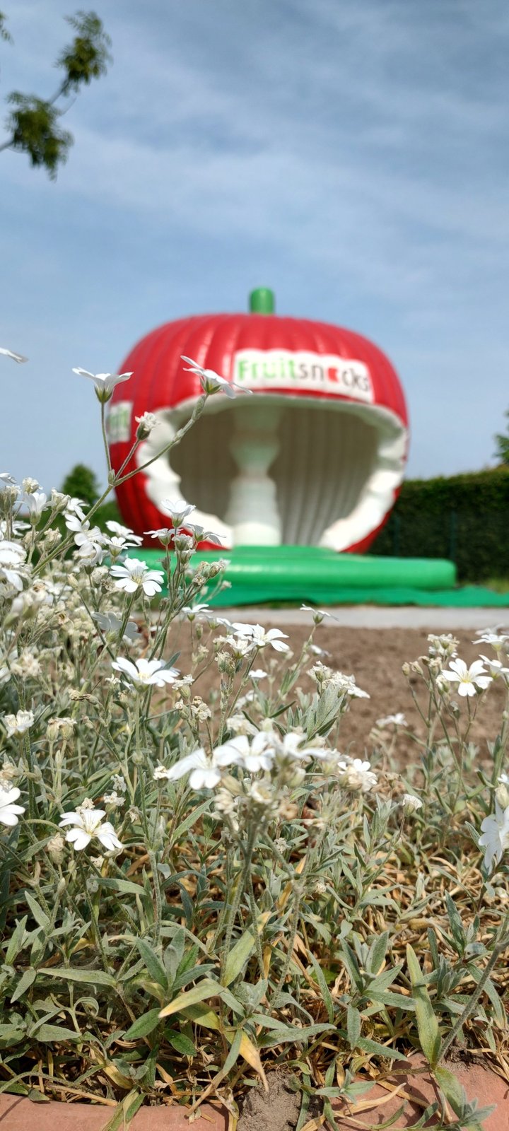 Springkastelen