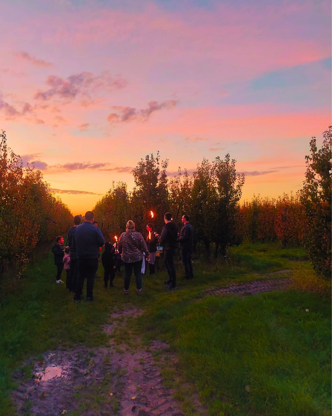 De Mysterieuze Boomgaard (21/10-20/12
