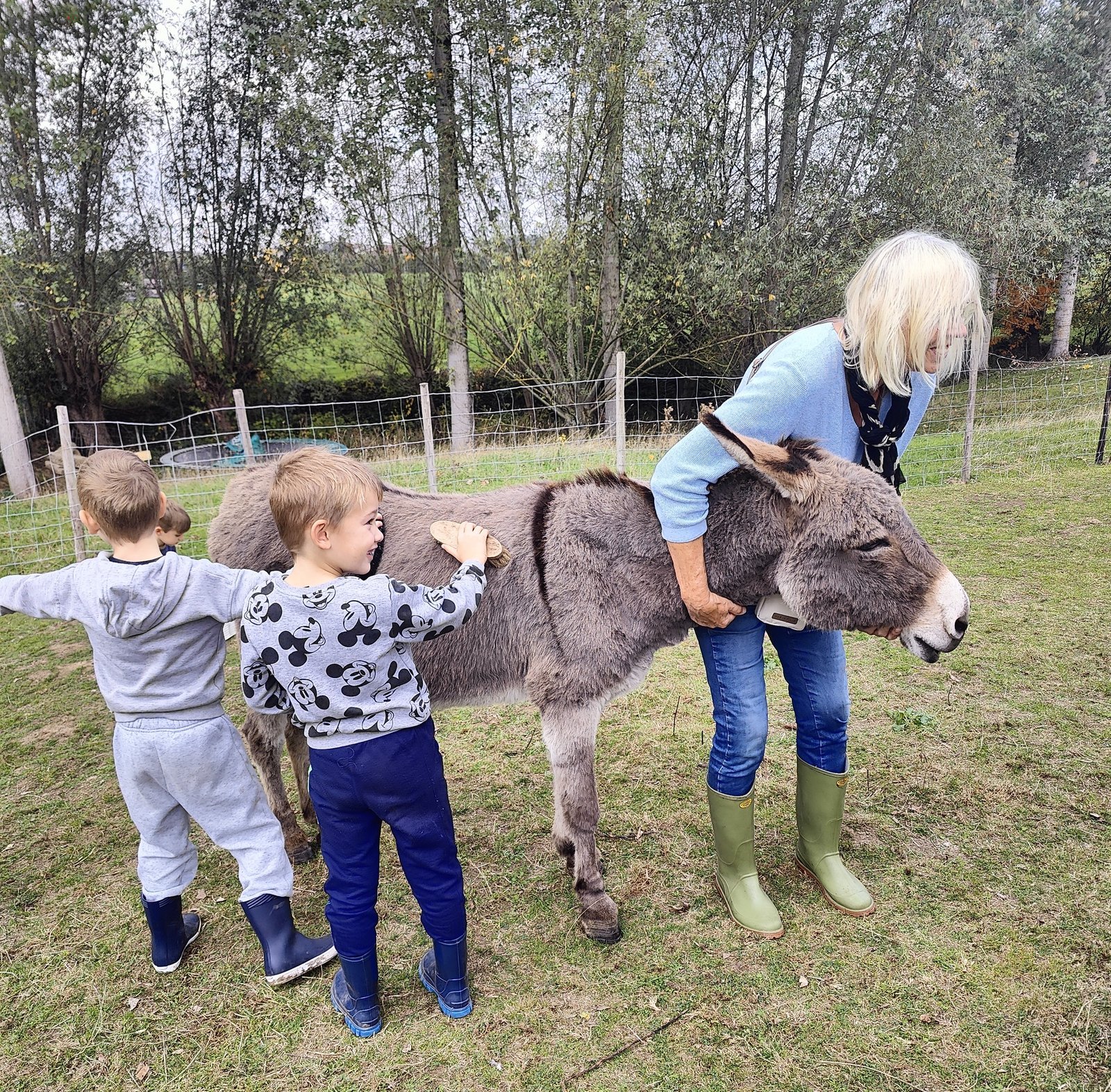 De dieren