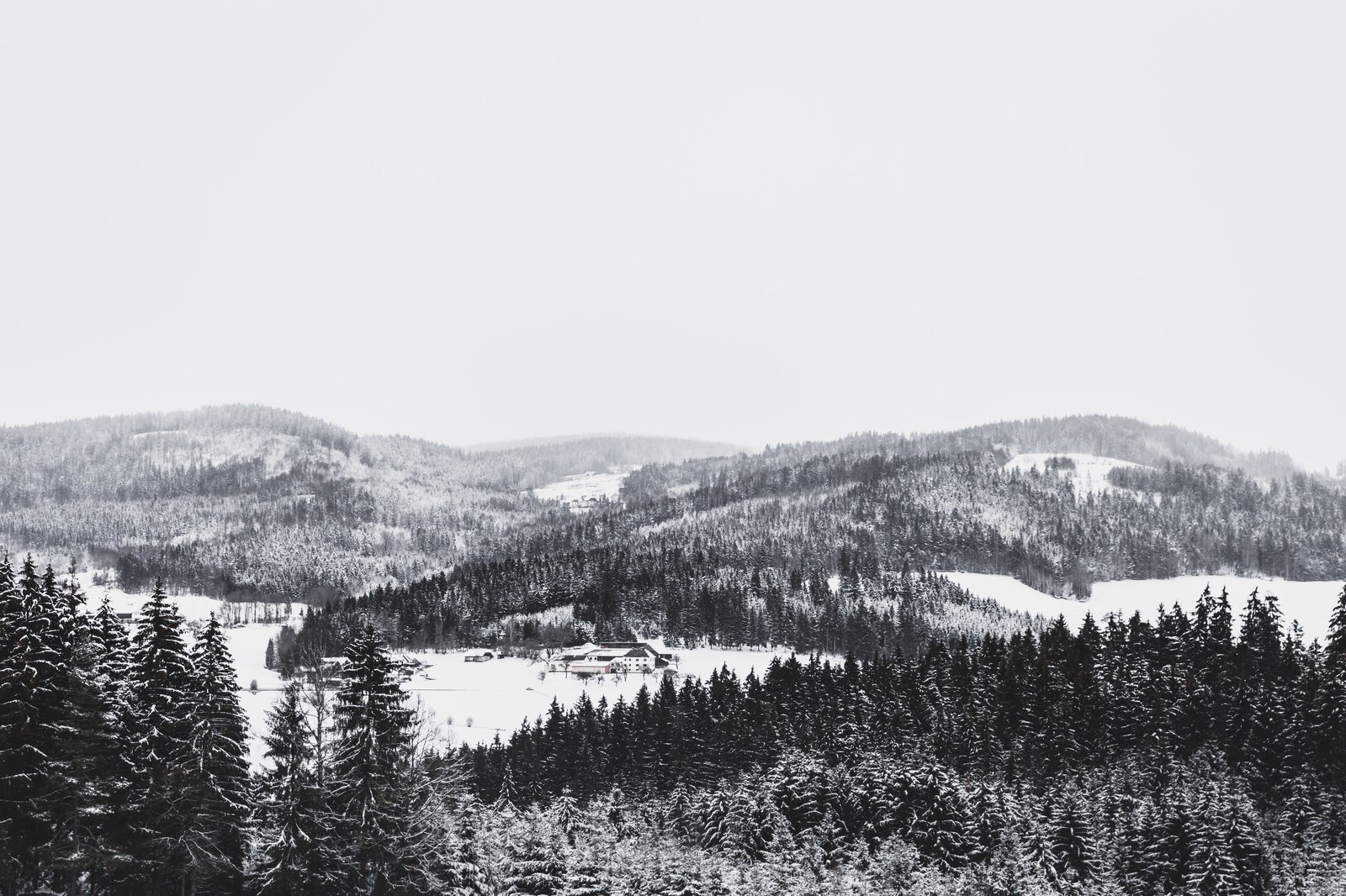 Winterwondermierhoop