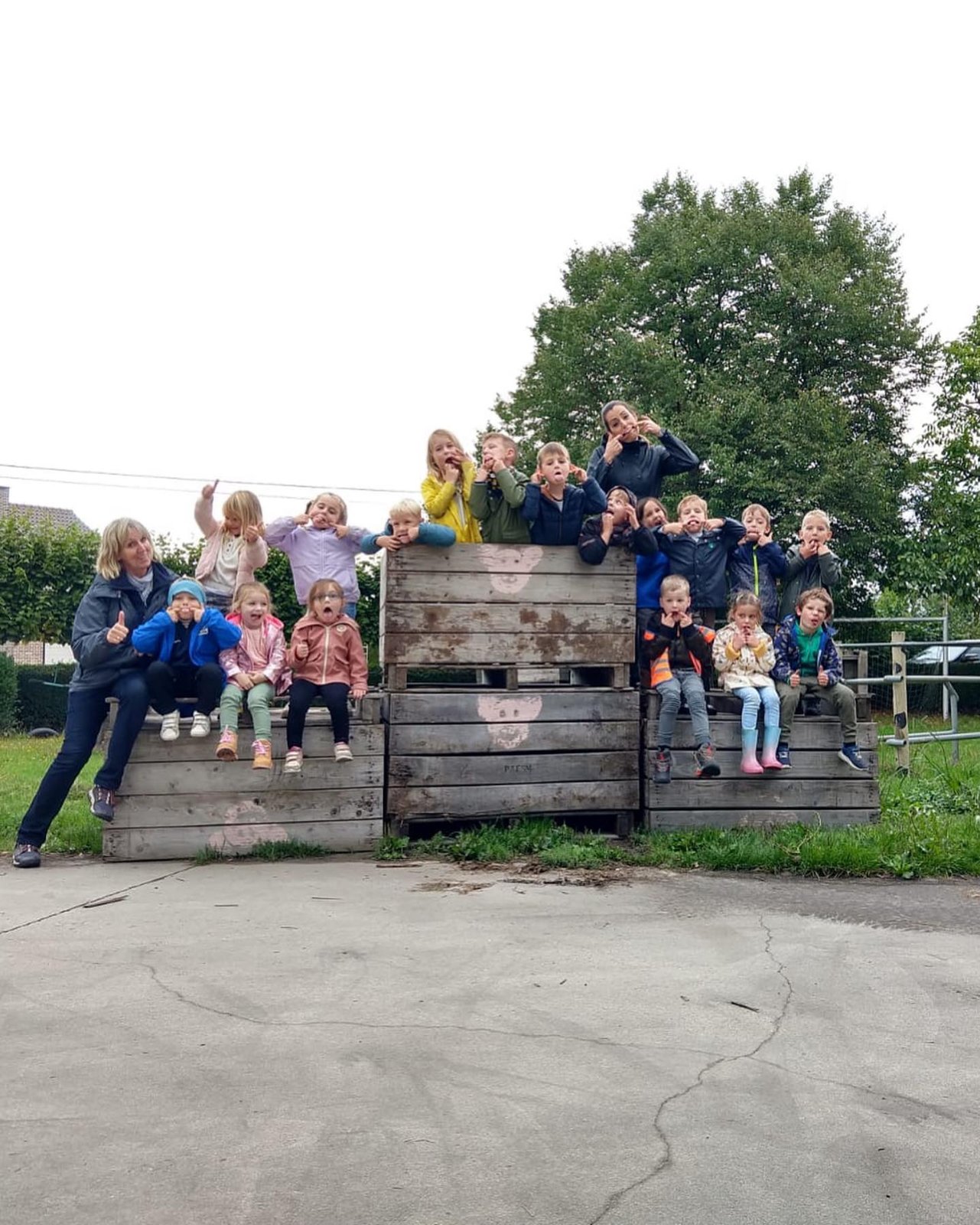 Scholen / groepen